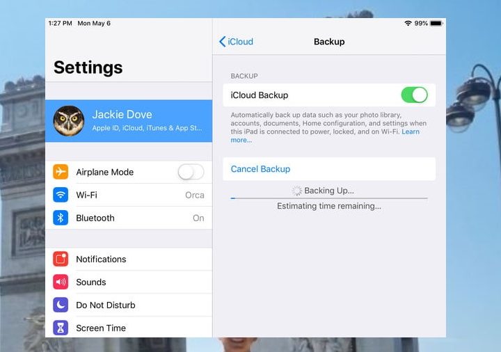 Pantalla de Configuración de iPad