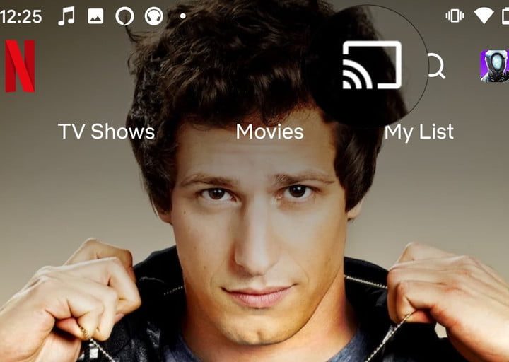 Aplicación de Netflix destacando el icono de Google Cast.