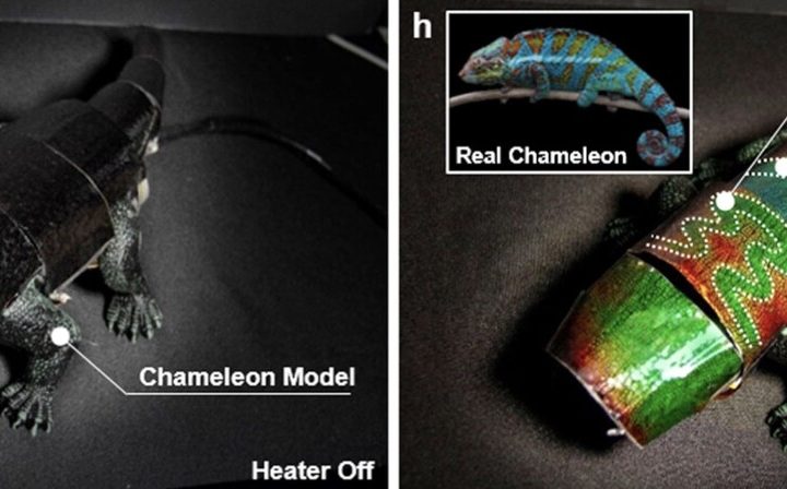 Este robot puede camuflarse y cambiar de color según el entorno