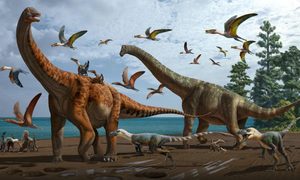 Descubren nuevas especies de dinosaurios en China