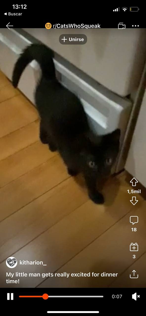 reddit videos cortos tiktok photo5246964750577939678