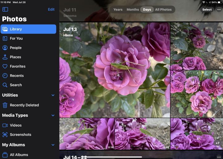 Aplicación Fotos en iPadOS 14.