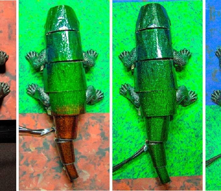 Este robot puede camuflarse y cambiar de color según el entorno