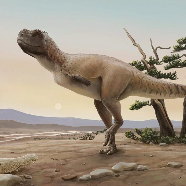 La imagen muestra una nueva especie de dinosaurio descubierta en Brasil.