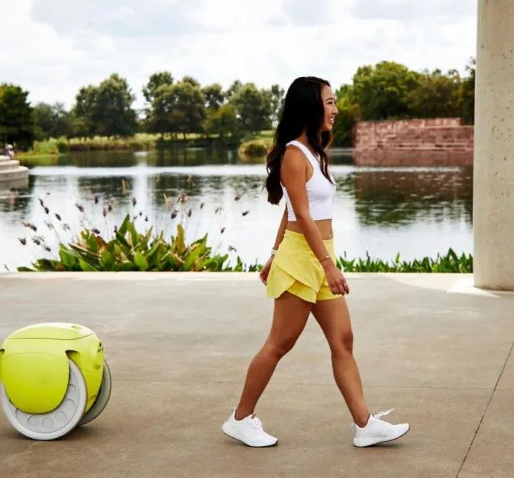 La imagen muestra al robot Gitamini siguiendo a su usuaria.