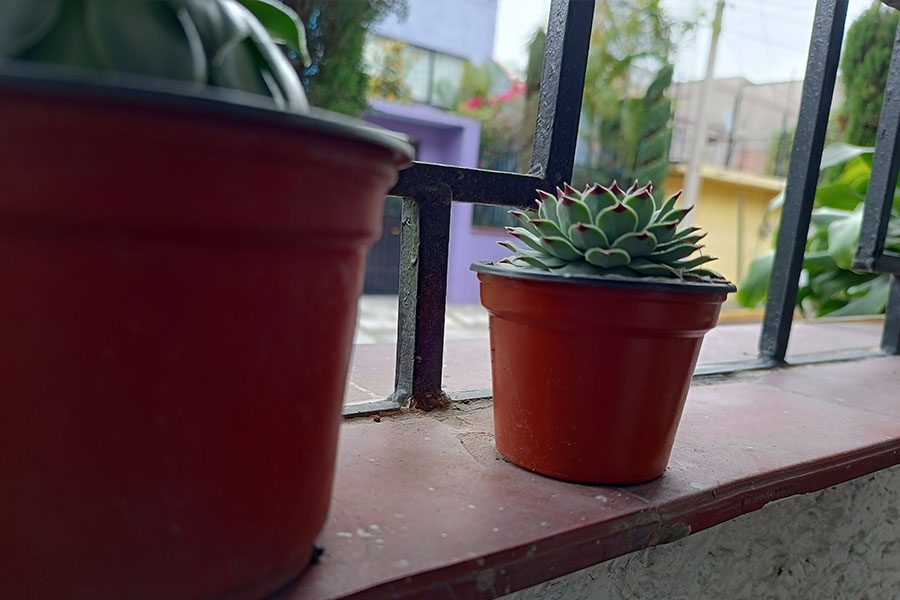 Motorola Edge 20 Lite