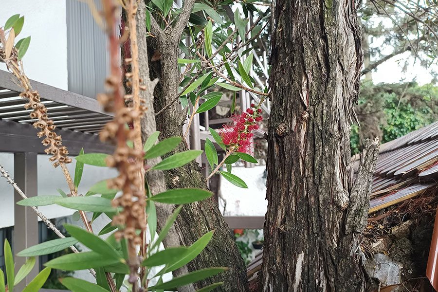 Motorola Edge 20 Lite