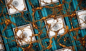 samsung copiar pegar cerebro chip