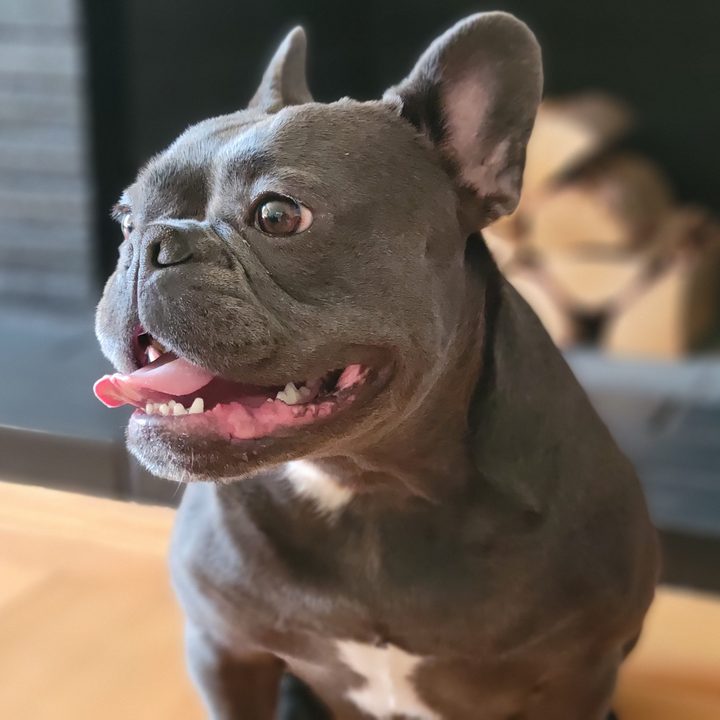 iphone 13 vs galaxy s21 cual te conviene comprar 01 samsung retrato