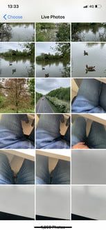 Elige fondo de pantalla en vivo iPhone