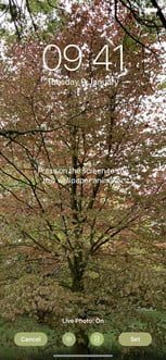 Configuración de fondo de pantalla en vivo iPhone