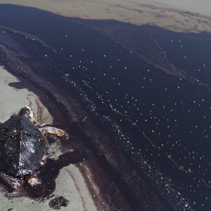 Derrame de BP en Golfo de México