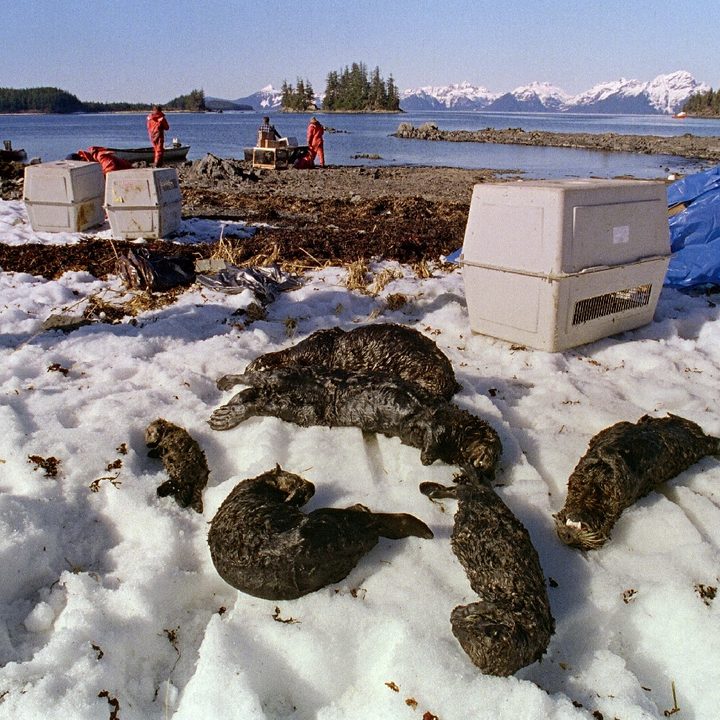 Derrame de Exxon Valdés