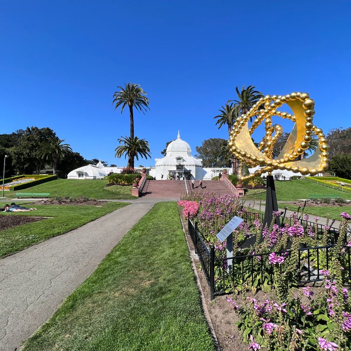 iphone 13 pro max vs galaxy s21 ultra gran angular