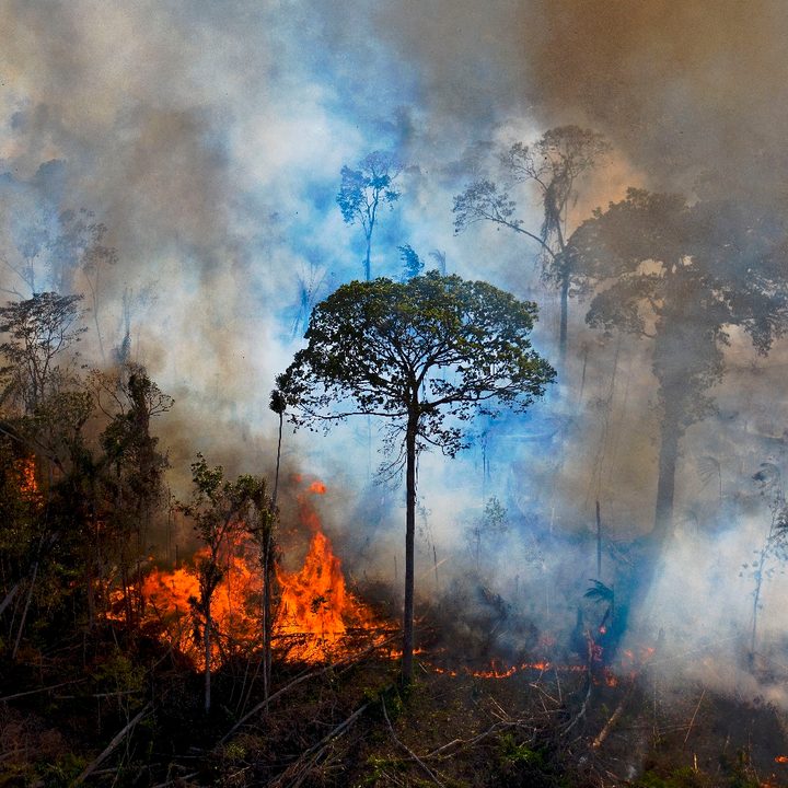 Incendios forestales en Amazonas