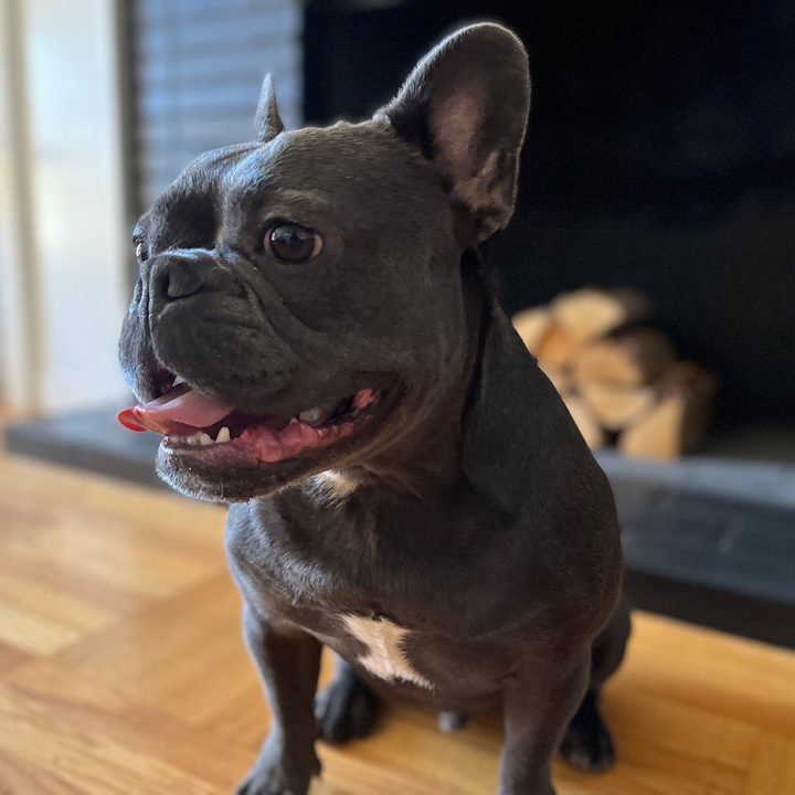 iphone 13 vs galaxy s21 cual te conviene comprar