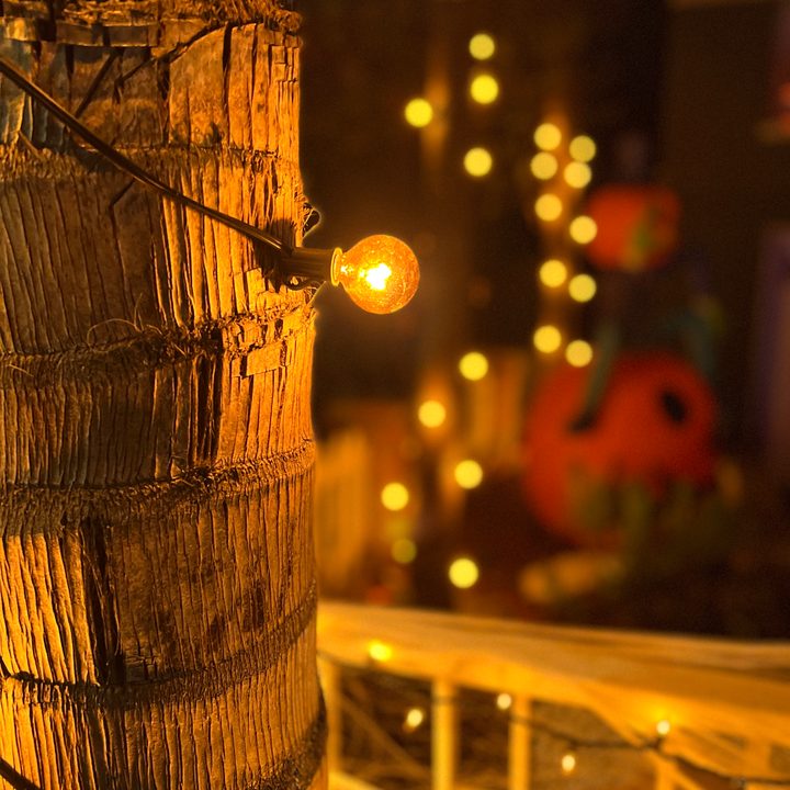 iphone 13 pro max vs galaxy s21 ultra noche retrato