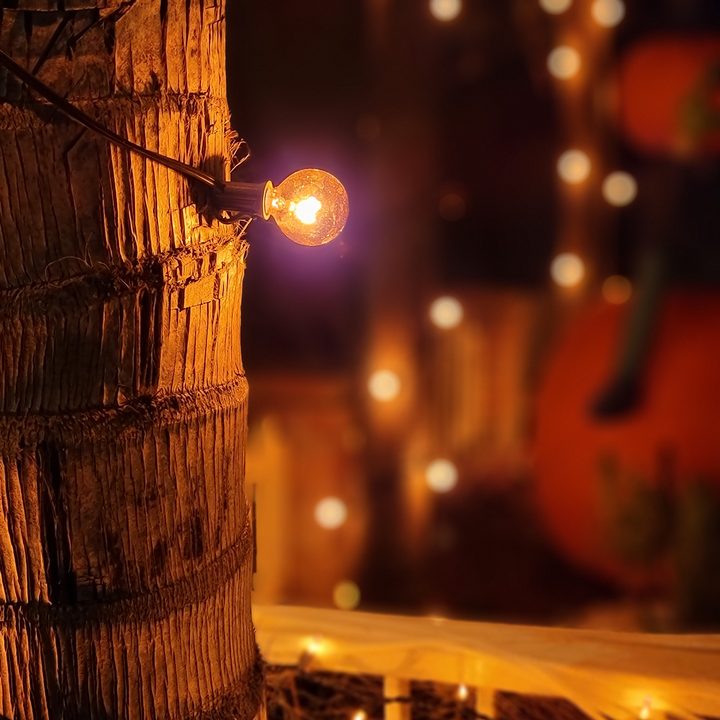 iphone 13 pro max vs galaxy s21 ultra noche samsung retrato