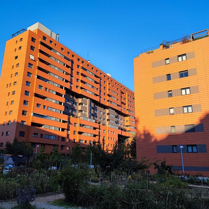 iphone 13 vs xiaomi 11t pro comparativa photo5402404375843944787