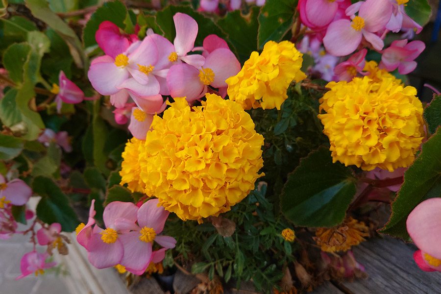 sony xperia 5 iii analisis fotos 10