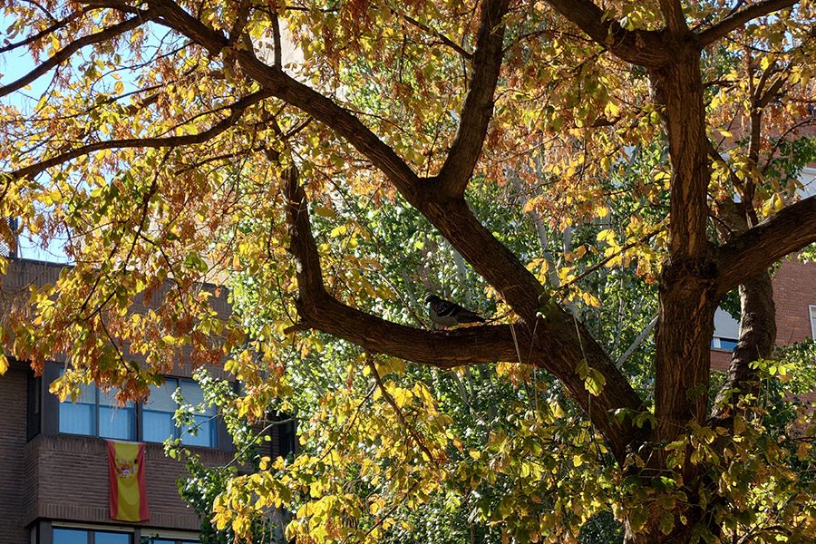 sony xperia 5 iii analisis fotos 2