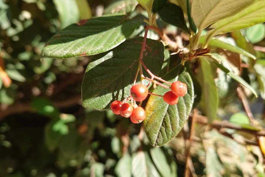 sony xperia 5 iii analisis fotos 6