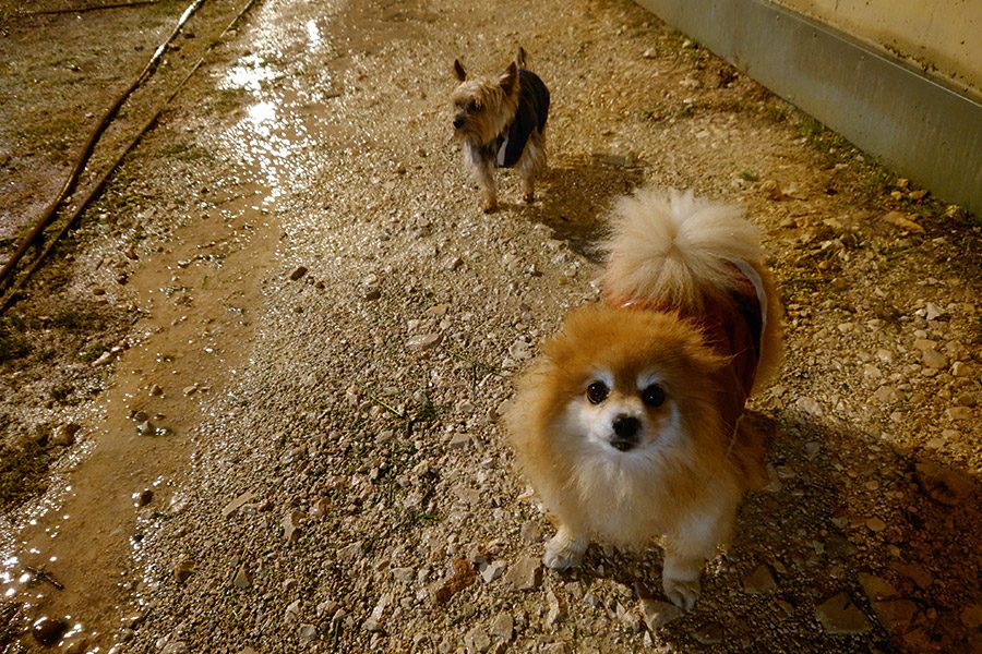 sony xperia 5 iii analisis fotos 7