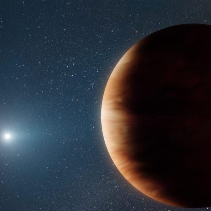 La imagen muestra un exoplaneta orbitando una estrella muerta