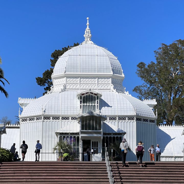 iphone 13 pro max vs galaxy s21 ultra zoom 3x