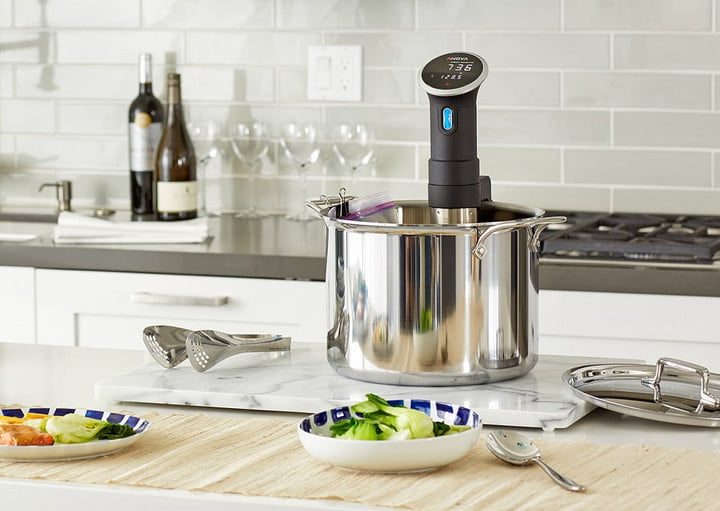 Anova Sous Vide Precision Cooker Wi-Fi (2ª generación) en una encimera de cocina.