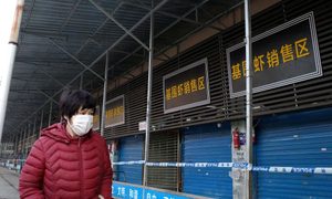 vendedora wuhan paciente cero pandemia mercado