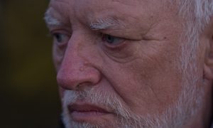 hide the pain harold meme fotos otonales 01