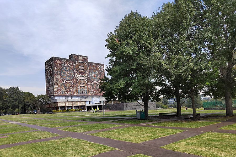 anaisis del honor 50 telefono de independencia y con google honor50 fotos 2