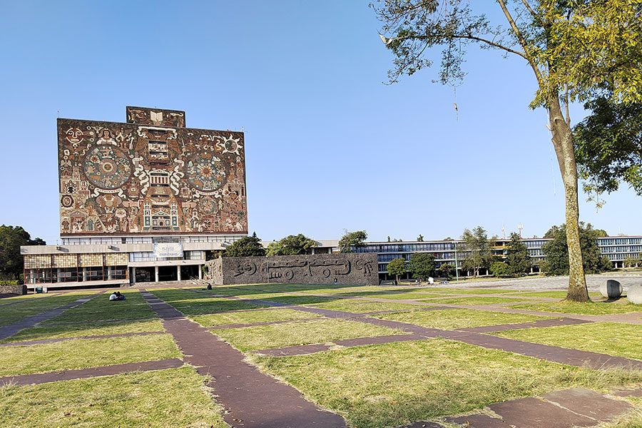 anaisis del honor 50 telefono de independencia y con google honor50 fotos 2 4