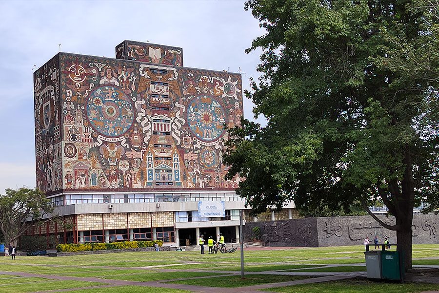 anaisis del honor 50 telefono de independencia y con google honor50 fotos 2 6