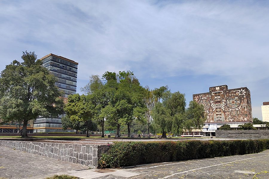 anaisis del honor 50 telefono de independencia y con google honor50 fotos 2 7