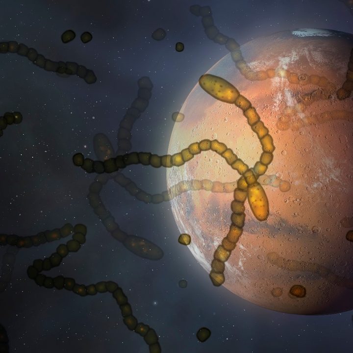 Microorganismos extraterrestres