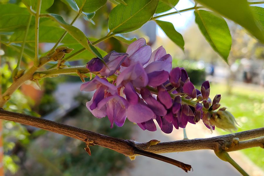 analisis realme gt neo 2 caracteristicas precio revision realmegtneo2 fotos