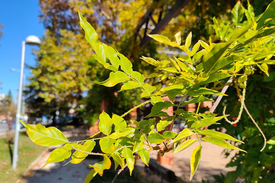 analisis realme gt neo 2 caracteristicas precio revision realmegtneo2 fotos 6