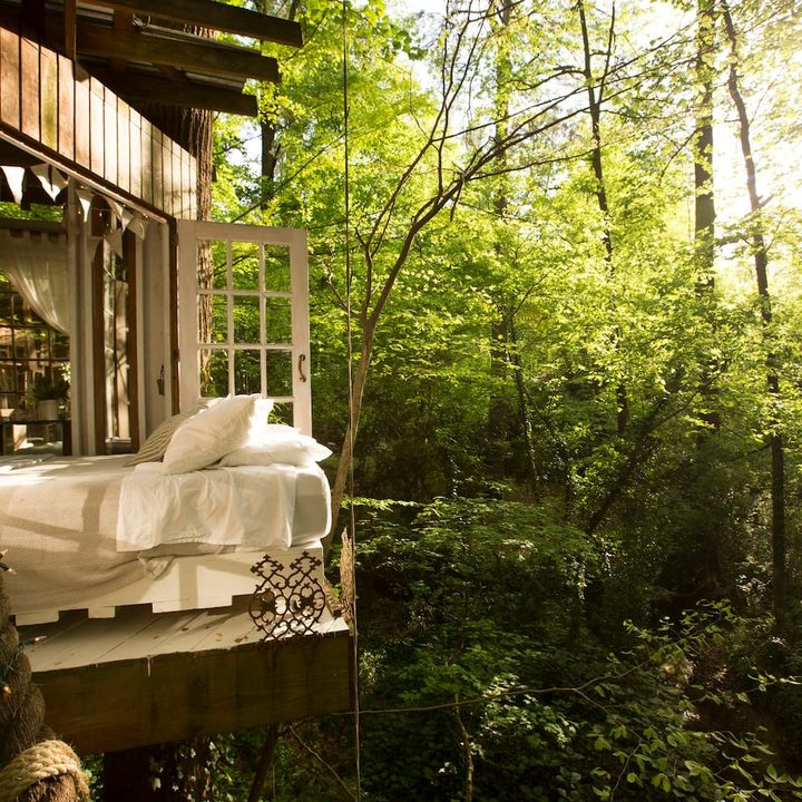 Casa en un árbol en renta en Airbnb