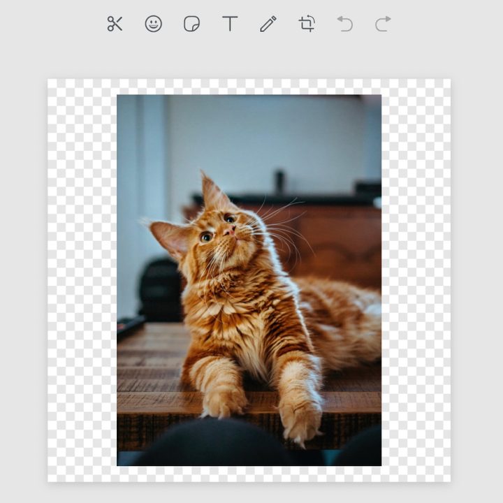 Cómo crear stickers en WhatsApp Web