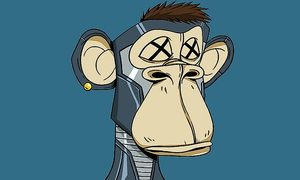 error de tipeo perder dolares dueno nft bored apes ape