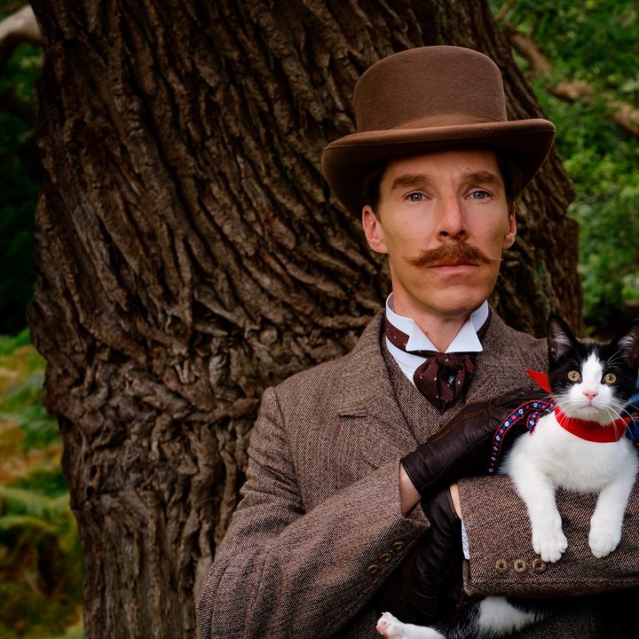 The Electrical Life of Louis Wain