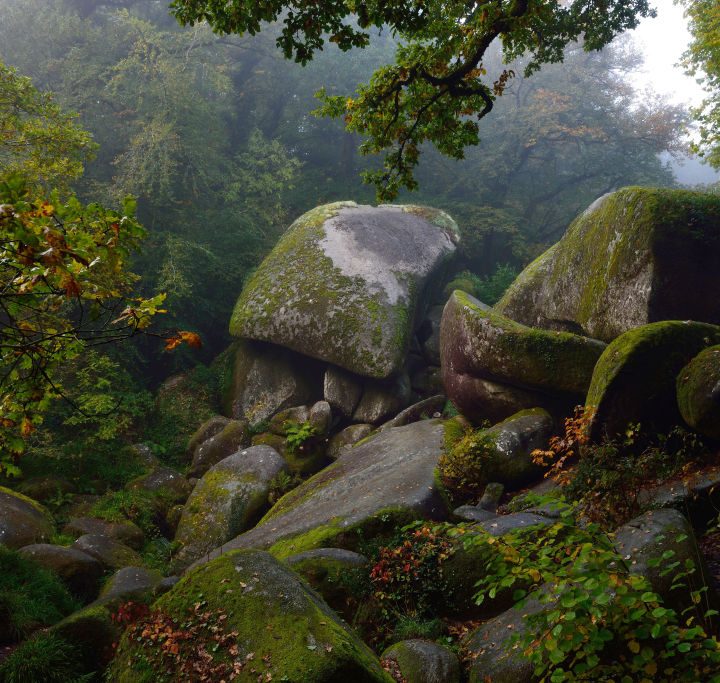 Una foto del Bosque de Huelgoat, en Francia