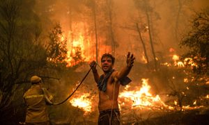 mejores fotos de 2021 grecia incendios