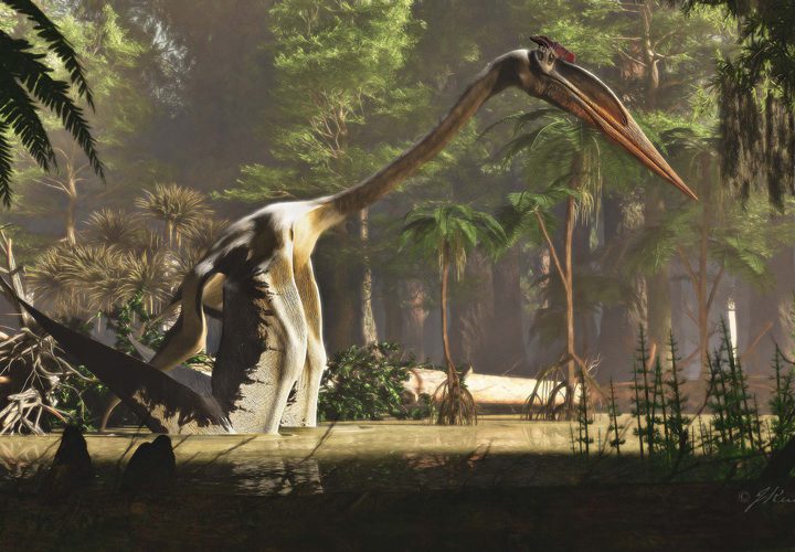 Una recreación artística del pterosaurio Quetzalcoatlus