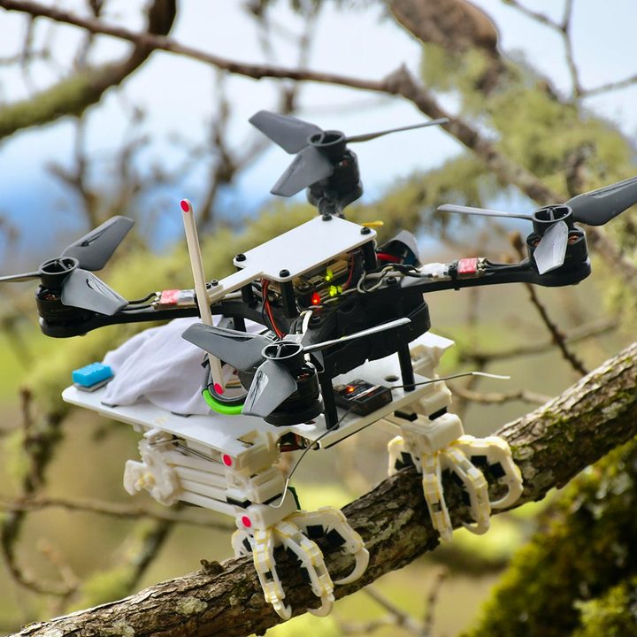 Un investigador de la Universidad de Stanford crea un dron con patas que aterriza como lo haría un pájaro