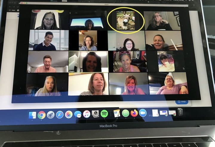 Pantalla mostrando una videollamada grupal con un intruso.