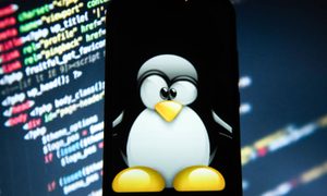 Un grupo de investigadores en ciberseguridad detectó una importante falla en Polkit que afecta a la mayoría de las distribuciones de Linux, incluido Ubuntu.