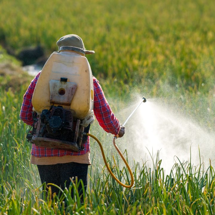 La imagen muestra a un hombre rociando químicos sobre una plantación.